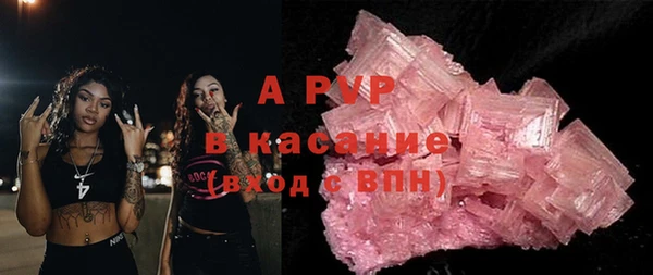 гашик Осташков
