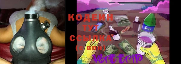 гашик Осташков