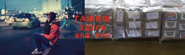 гашик Осташков