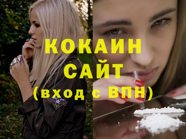 гашик Осташков