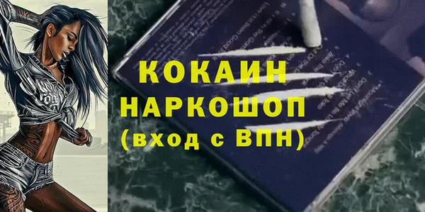 гашик Осташков