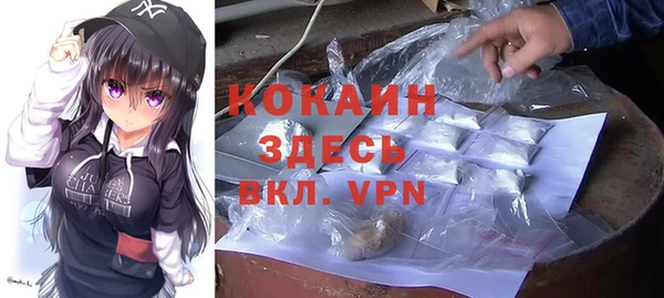 гашик Осташков