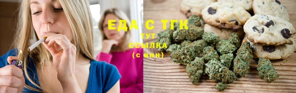 гашик Осташков