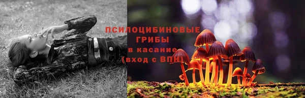 гашик Осташков